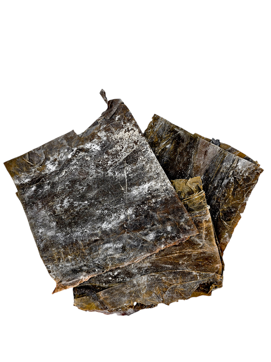 Alghe gigante - 3 alghe giganti